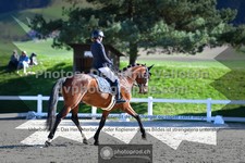 ref. photo 3556214