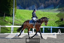 ref. photo 3556218