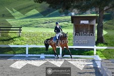 ref. photo 3556222