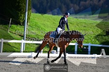 ref. photo 3556229