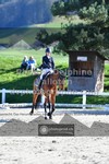 ref. photo 3556232