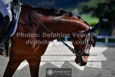 ref. photo 3556235