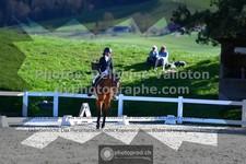 ref. photo 3556240