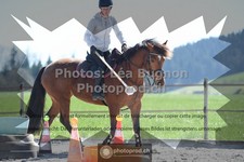 ref. photo 3556255