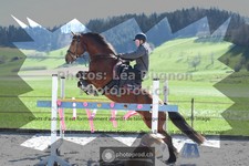 ref. photo 3556264