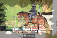 ref. photo 3556291