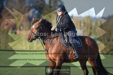 ref. photo 3556295