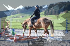 ref. photo 3556308