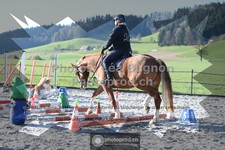 ref. photo 3556309
