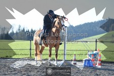 ref. photo 3556311