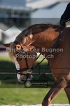 ref. photo 3556313