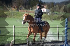 ref. photo 3556328