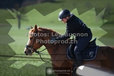 ref. photo 3556329