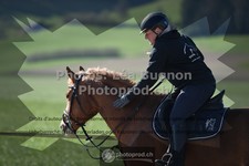ref. photo 3556333
