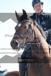 ref. photo 3556343