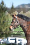 ref. photo 3556349
