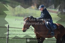 ref. photo 3556353