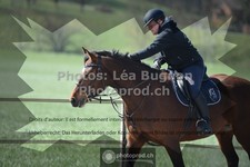 ref. photo 3556354