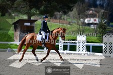 ref. photo 3556366
