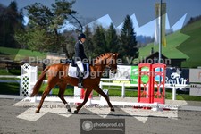 ref. photo 3556367