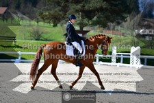 ref. photo 3556371