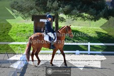 ref. photo 3556373