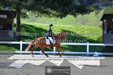 ref. photo 3556379