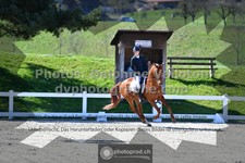 ref. photo 3556380