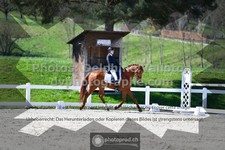 ref. photo 3556384