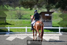 ref. photo 3556390