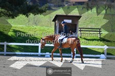 ref. photo 3556392