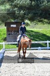 ref. photo 3556394