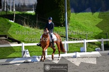 ref. photo 3556401