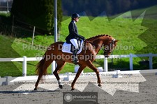 ref. photo 3556402