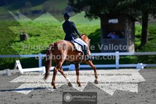 ref. photo 3556403