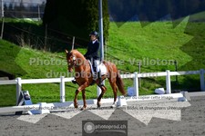 ref. photo 3556404