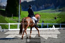 ref. photo 3556407