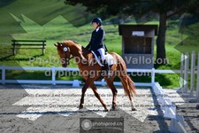 ref. photo 3556411
