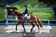 ref. photo 3556412
