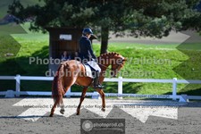 ref. photo 3556413
