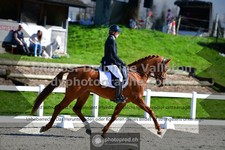 ref. photo 3556418