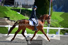 ref. photo 3556419