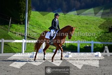 ref. photo 3556424