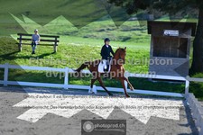 ref. photo 3556430