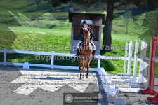 ref. photo 3556431