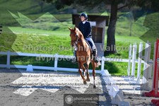 ref. photo 3556432