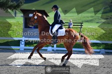 ref. photo 3556433