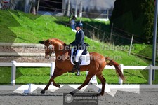 ref. photo 3556434