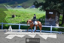 ref. photo 3556440
