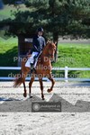 ref. photo 3556444